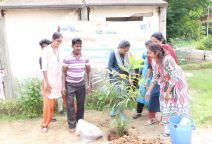 Swachhata Hi Seva Pledge 2024 & Tree Plantation in CSIR-SERC & CMC Campus