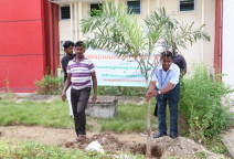 Swachhata Hi Seva Pledge 2024 & Tree Plantation in CSIR-SERC & CMC Campus